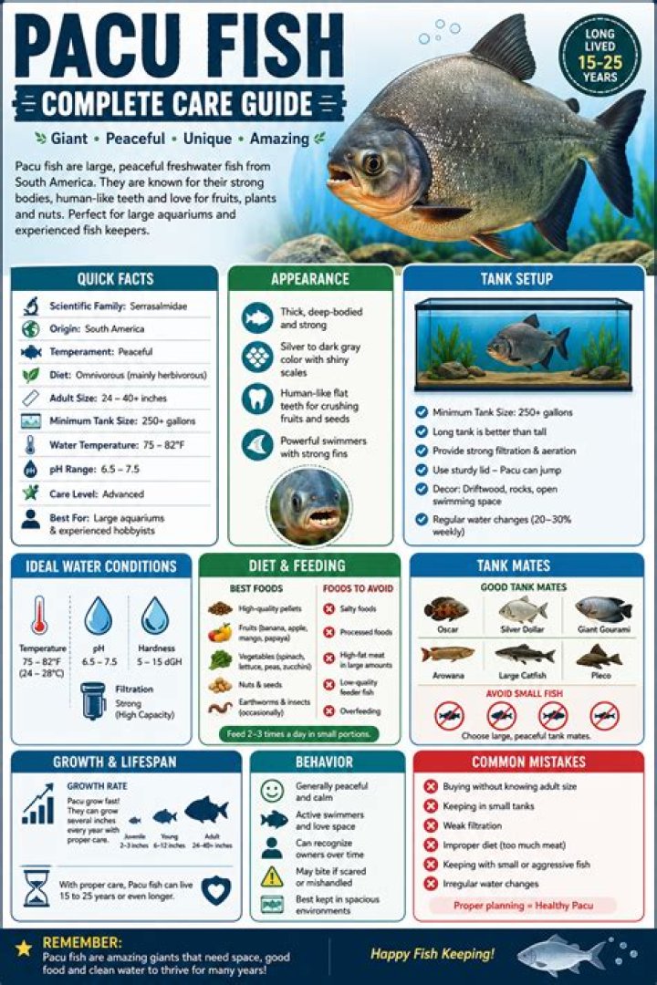 How long do Pacu fish live?