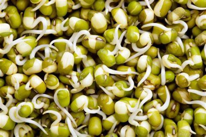 How long do you blanch bean sprouts?
