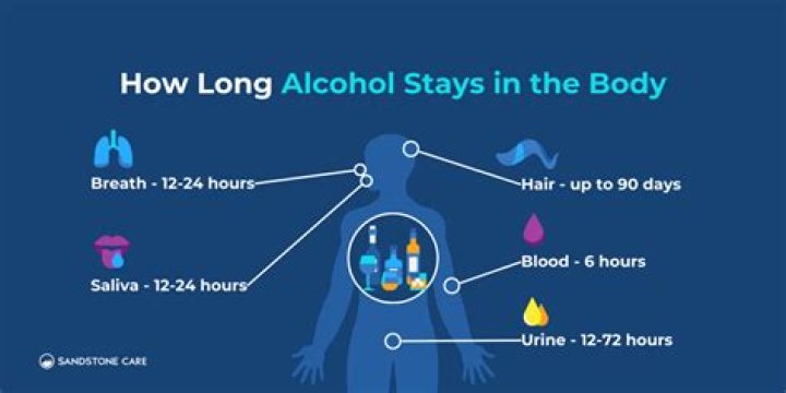 How long does beer stay on your breath?