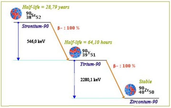 How long does it take for strontium 90 to decay?