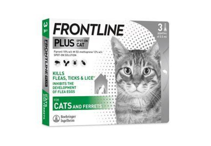 How long does it take frontline to dry on cats?