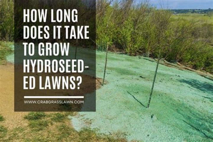 How long does it take to grow wine grapes?