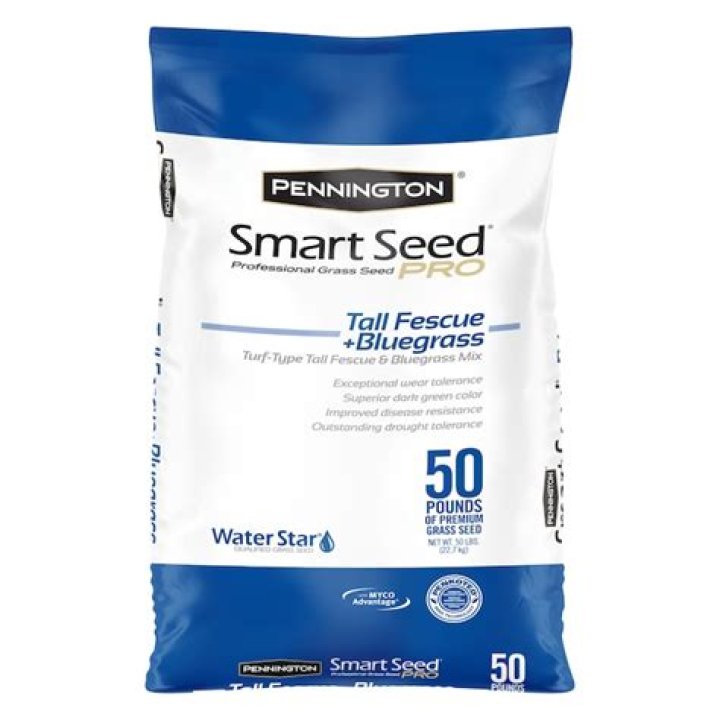 How long does Pennington Smart Seed take to germinate?