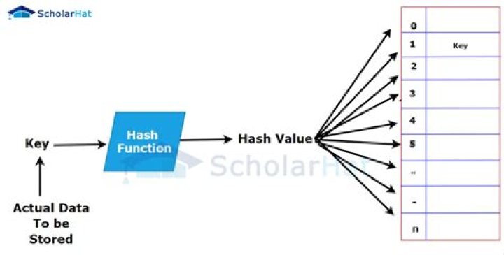 How long is a hash value?