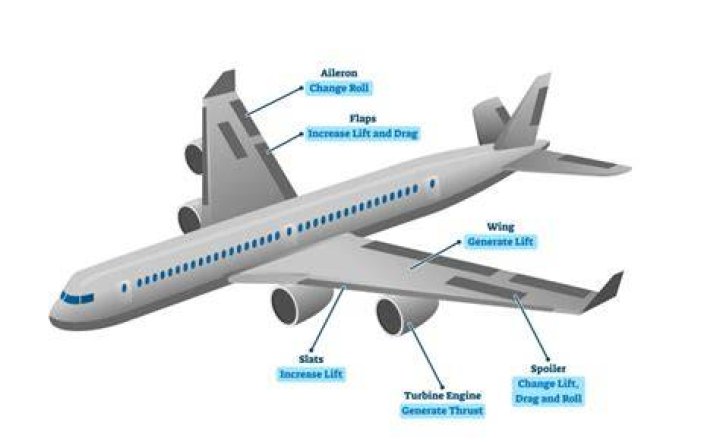 How long is a planes wing?