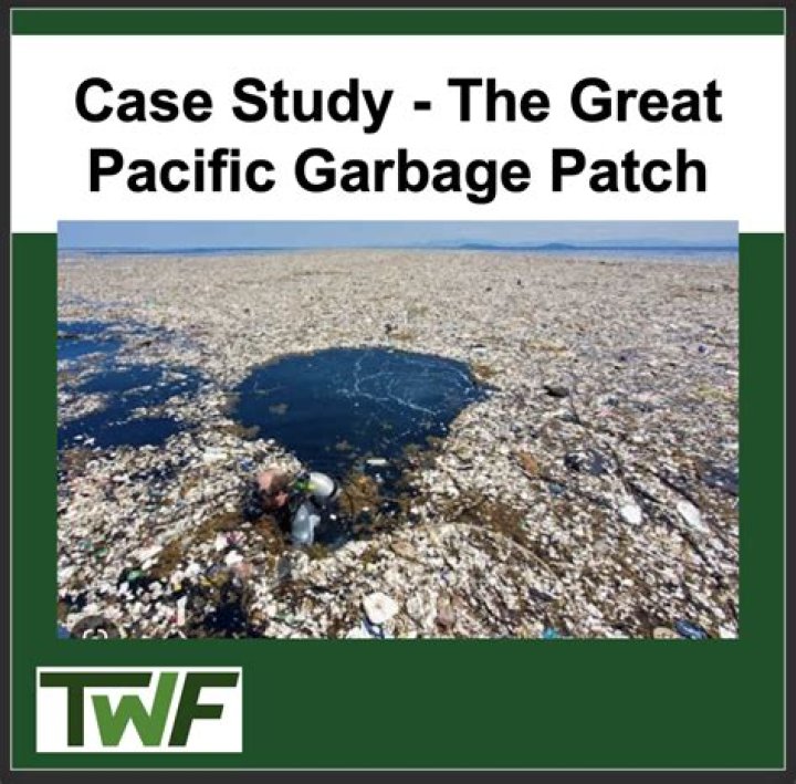 How many animals die from the Great Pacific Garbage Patch?