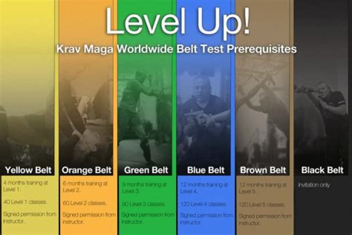 How many belts are in Krav Maga?
