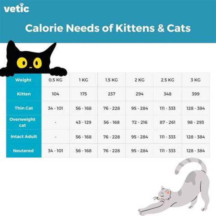 How many calories a day should a cat eat?