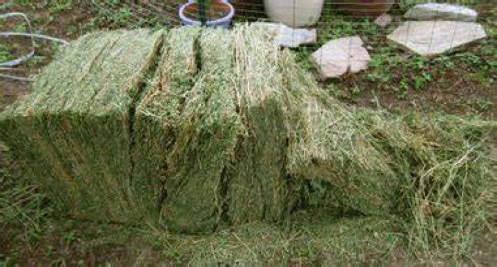 How many flakes are in a bale of hay?