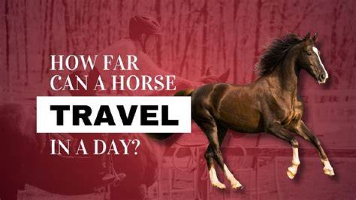 How many miles can a horse and buggy travel in a day?