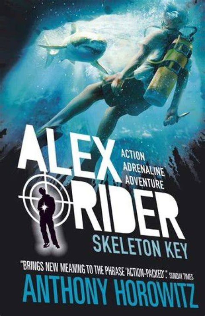 How many pages are in Alex Rider Skeleton Key?