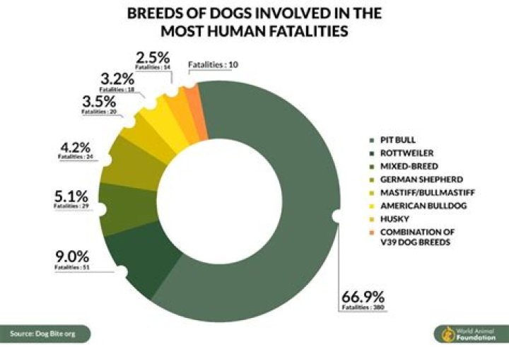 How many pit bulls are killed each year in the US?