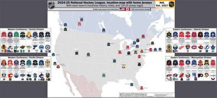 How many players are in the NHL 2017?