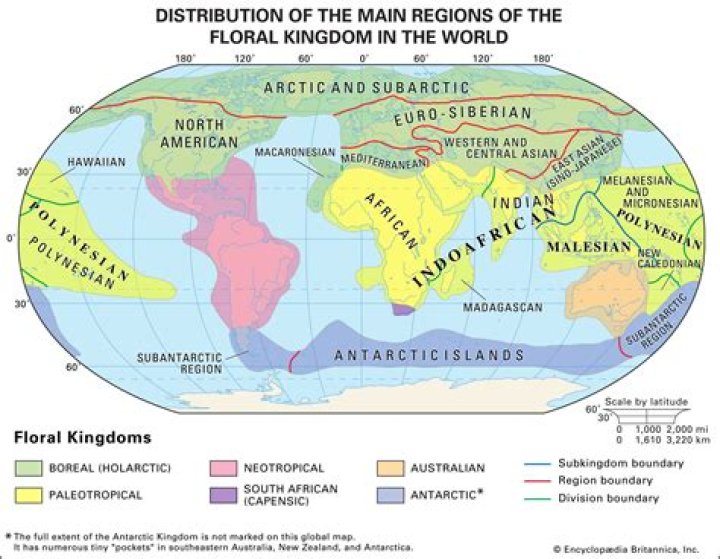 How many realms are there on Earth?