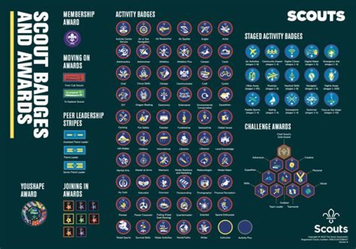 How many scouts are there in the world in 2019?