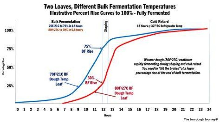 How many times should yeast bread rise?