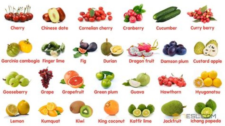 How many types of fruits are there?