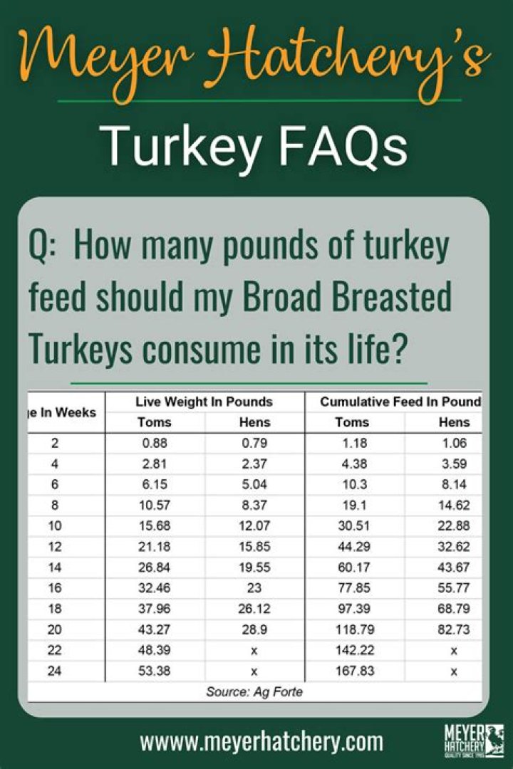 How many will a 5 lb turkey breast feed?