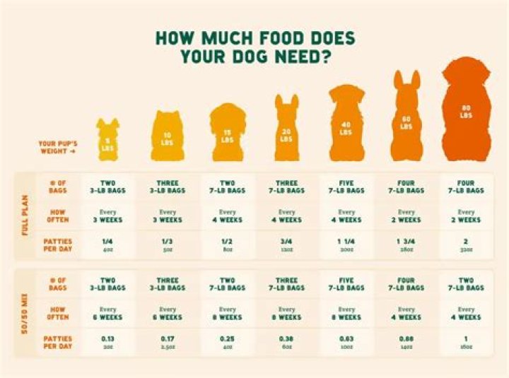How much bacon should you eat in a day?
