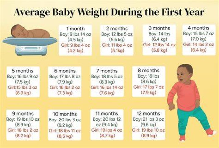 How much does a 2 year old grow in 6 months?