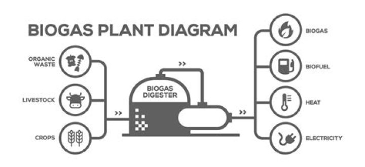 How much does a biogas generator cost?