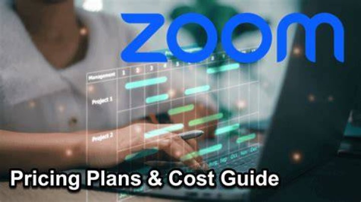 How much does a paint zoom cost?