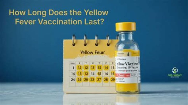 How much does a yellow fever shot cost?