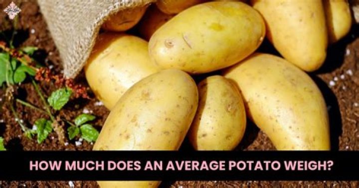 How much does an average pair of boots weigh?