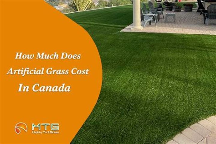 How Much Does Artificial Grass Cost Canada?