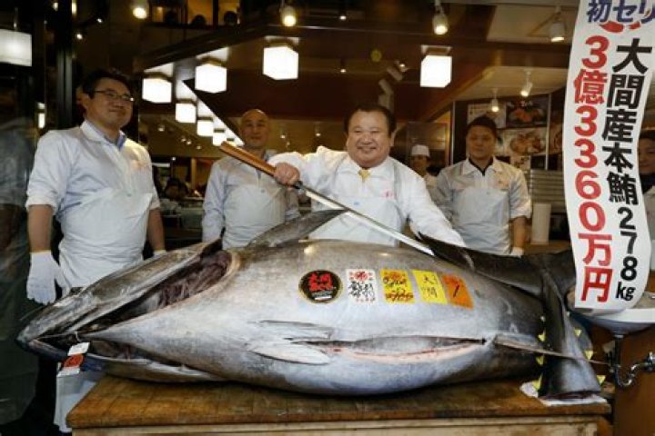 How much does bluefin tuna sell for in Japan?