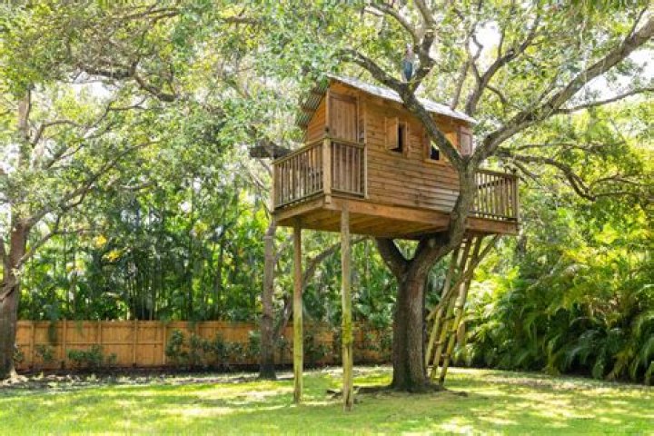 How much does it cost to build a treehouse?