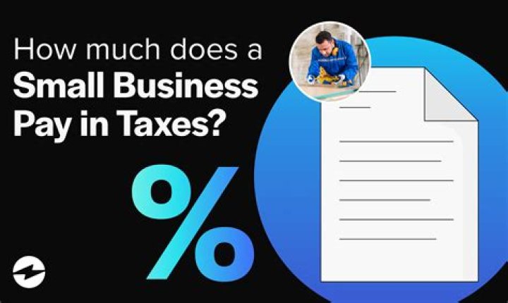 How much does the average small business pay in taxes?