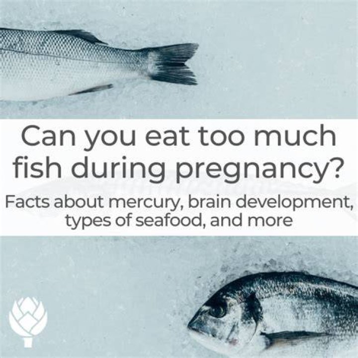How much fish can I eat during pregnancy?