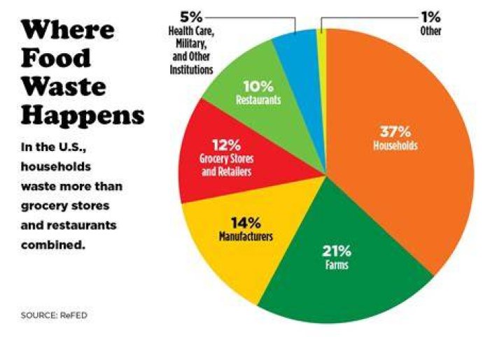 How much food is wasted in schools every year?