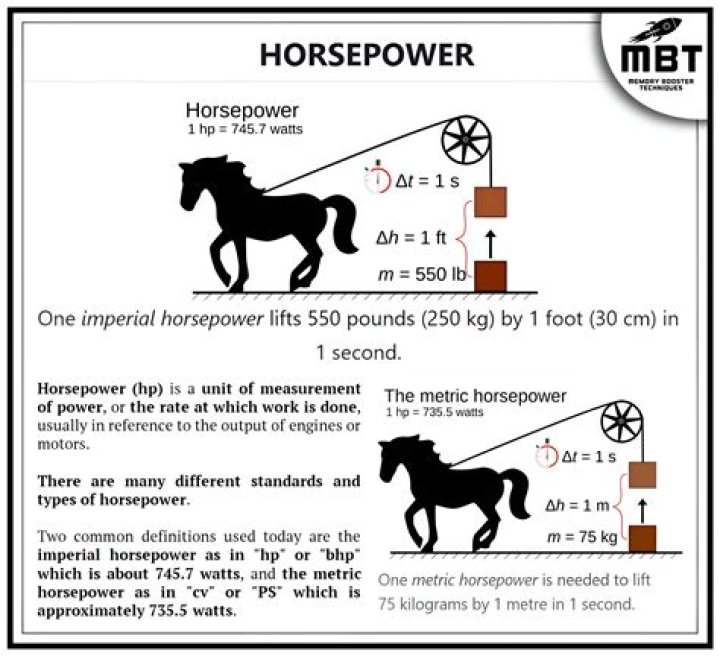 How much horsepower does a bull have?