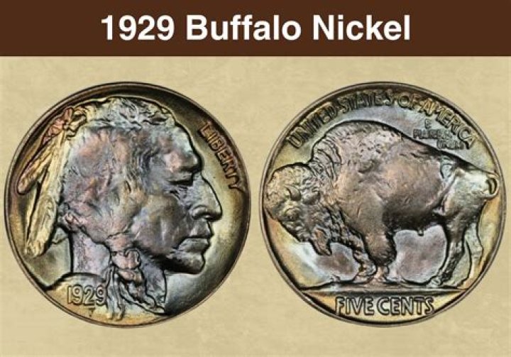 How much is a buffalo head nickel worth with no date?