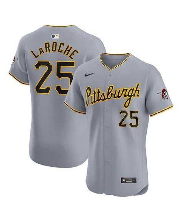 How much is Adam LaRoche worth?