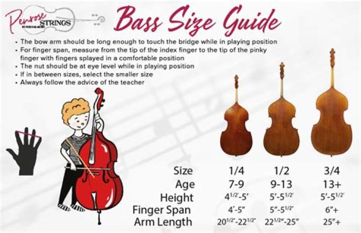 How much is an upright bass?