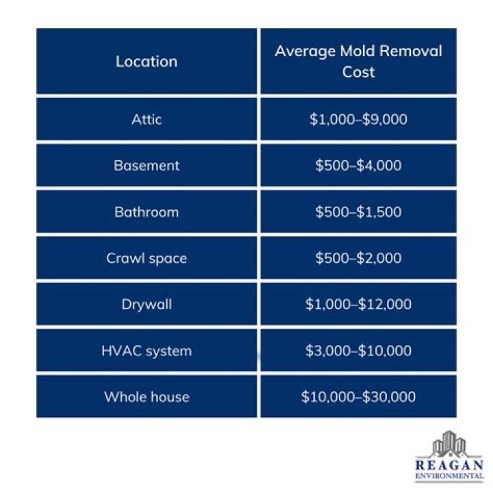 How much is mold removal in bathroom?