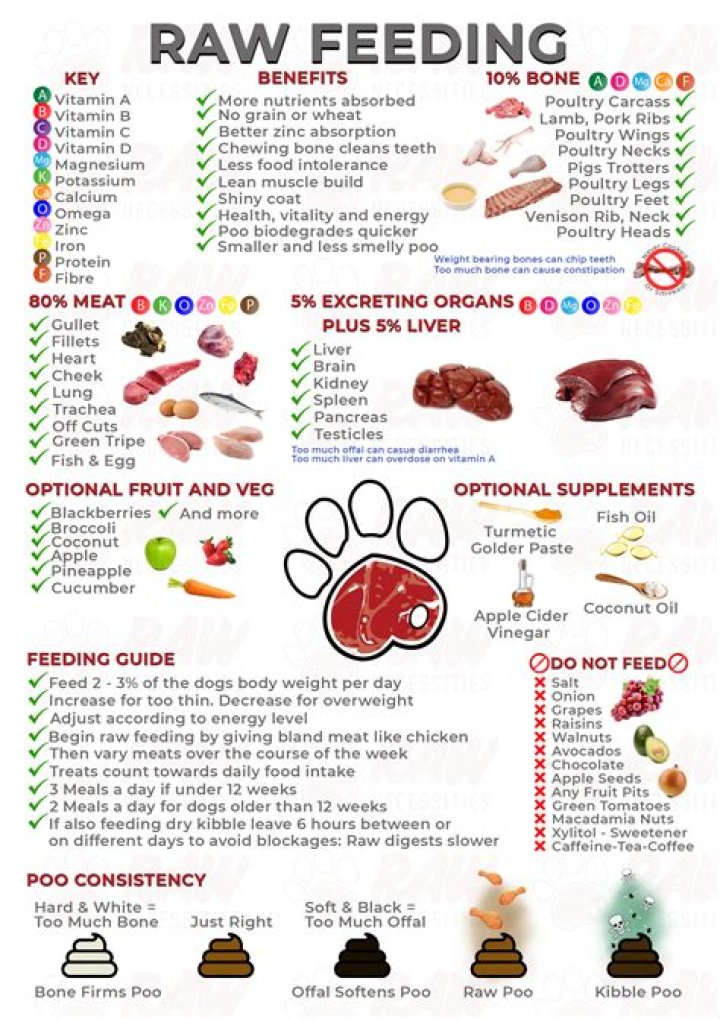How much raw chicken should I feed my dog?