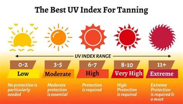 How much sun a day do you need to get a tan?