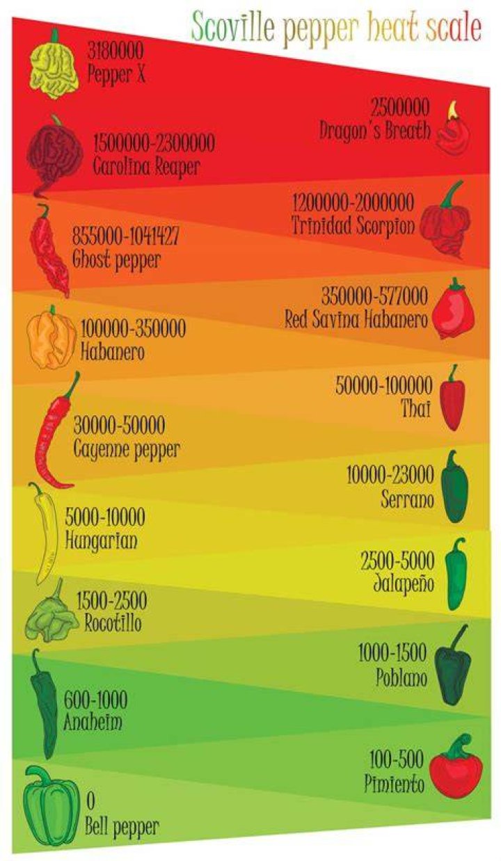 How much water do ghost peppers need?