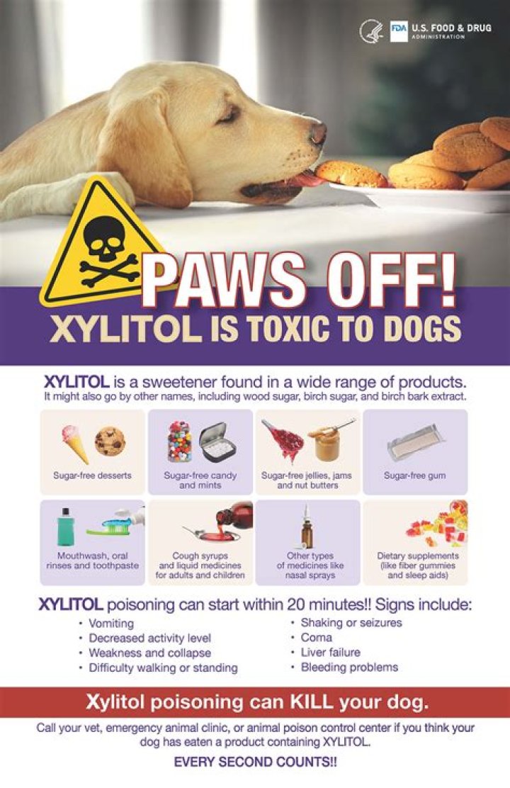How much xylitol is toxic to dogs?