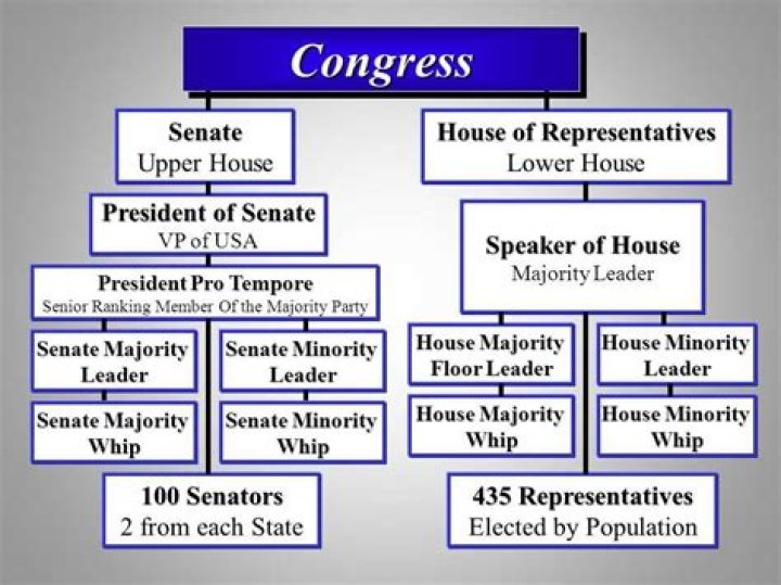 How often does Congress meet and why?