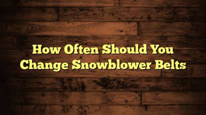 How often should you change snowblower belts?
