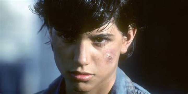 How old was the author at that time the outsiders?