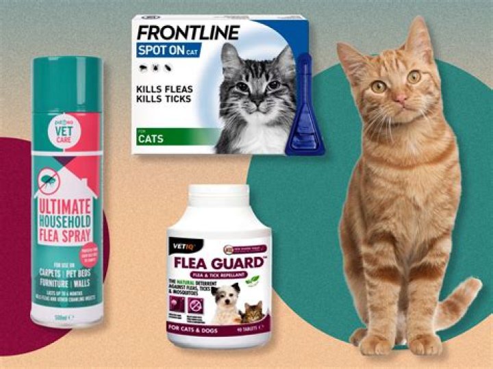 How soon can you repeat flea treatment?
