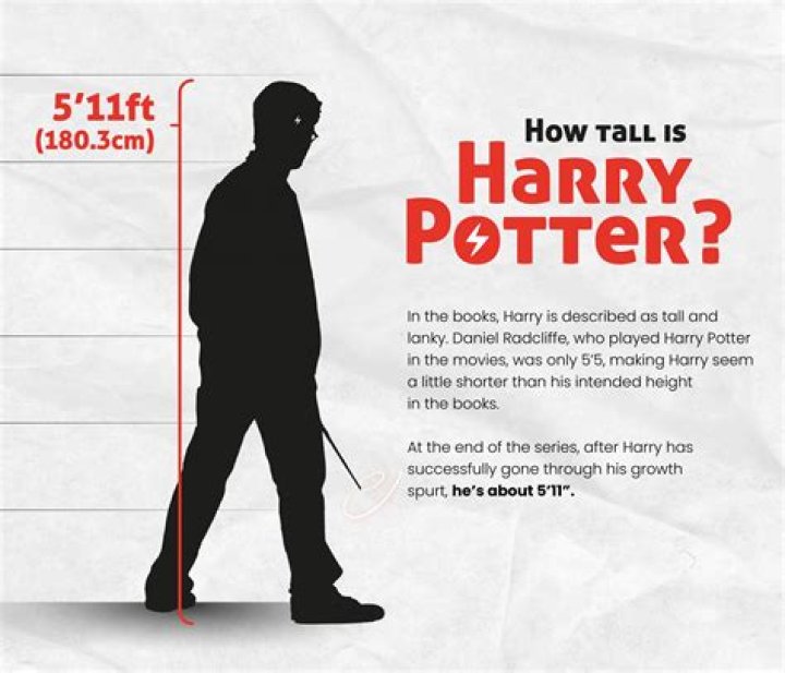 How tall is Harry Potter?