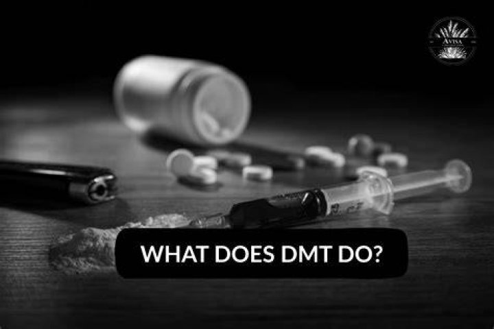 How was DMT discovered?