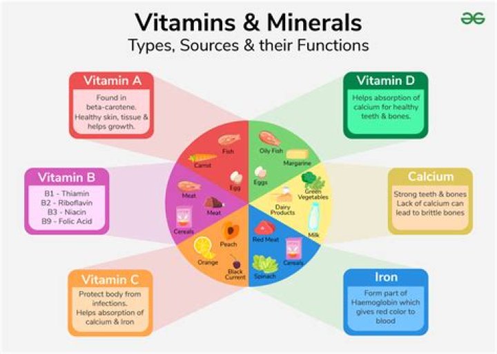How were vitamins and minerals discovered?